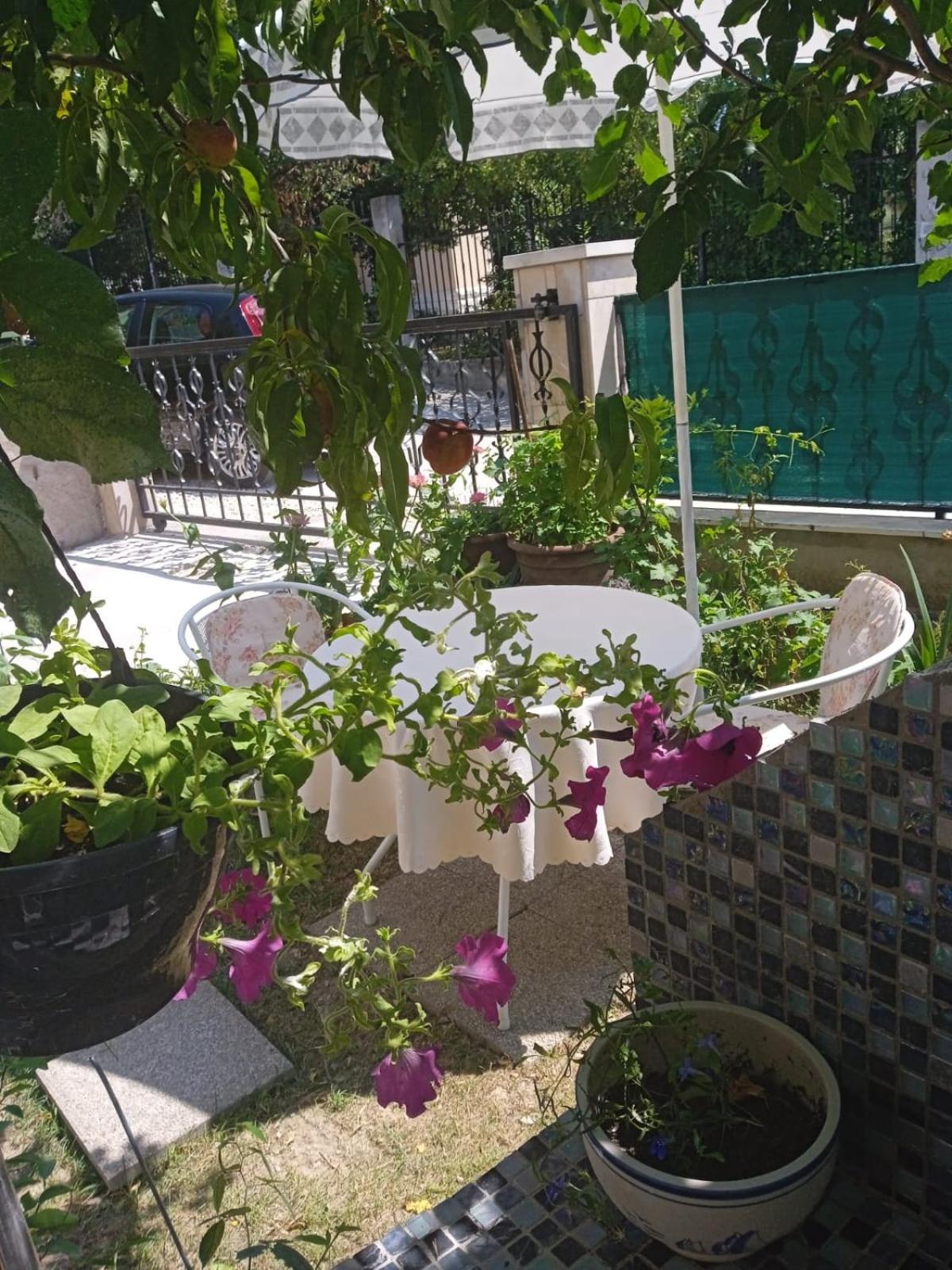 Pelivan Apartments Каштела Номер фото